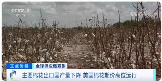 国际棉花逼近十年新高，服装出口企业挑战与对策分析